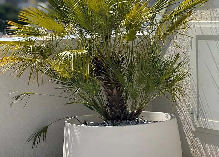 Attico Sole A Con Terrazza Panoramica Apartamento *