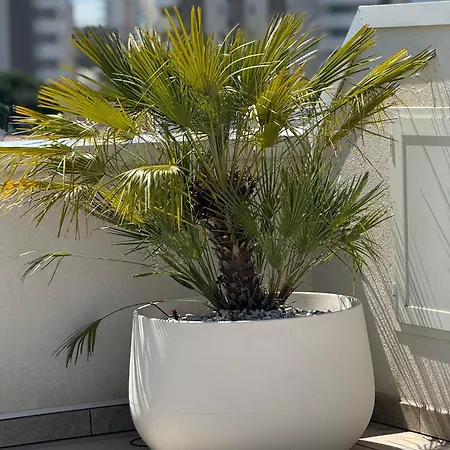 Attico Sole A Con Terrazza Panoramica Apartman *